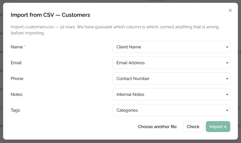 The preview step: mapped columns, row-by-row results, and the duplicates it found.